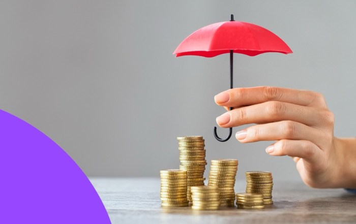 Wage Protection System in the UAE