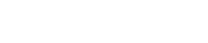 Virtuzone Logo